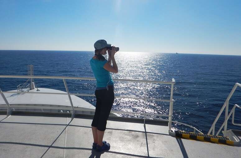 perivallontikes meletes